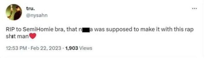 Discover The Truth Behind "What Happened To Semi Homie"