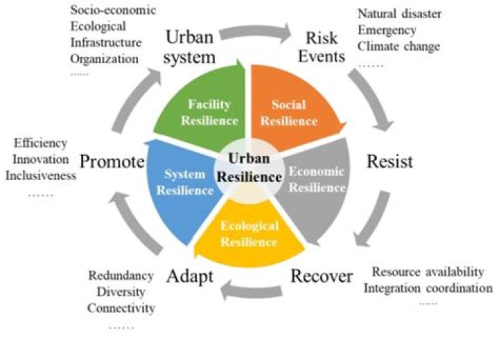 Unlocking Athletic Excellence, Resilience, And Community Impact